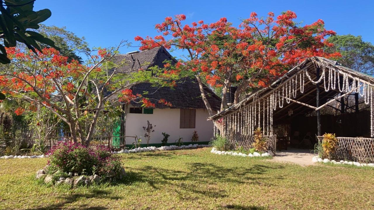 Botanica Eco Lodge Michamvi Exteriör bild